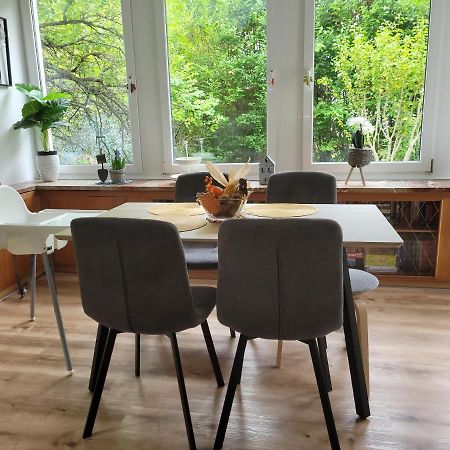 Family Apartment Linz Wohnen Mit Garten Am Fusse Des Poestlingbergs Top Lage Villenviertel Exteriör bild