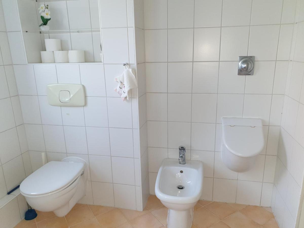 Family Apartment Linz Wohnen Mit Garten Am Fusse Des Poestlingbergs Top Lage Villenviertel Exteriör bild