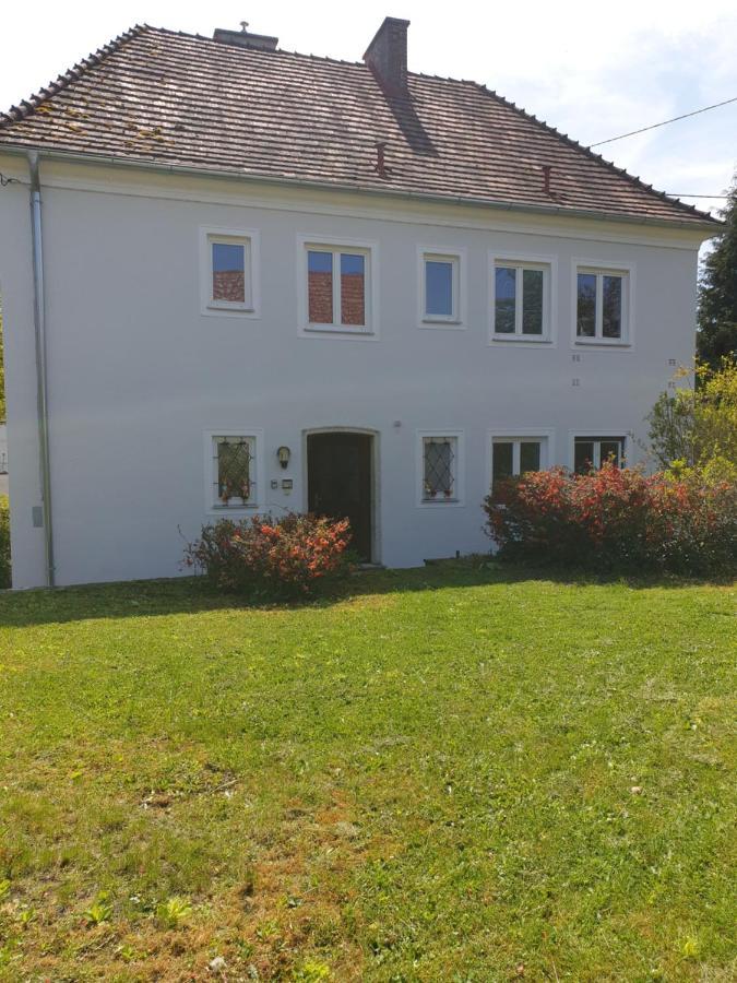 Family Apartment Linz Wohnen Mit Garten Am Fusse Des Poestlingbergs Top Lage Villenviertel Exteriör bild