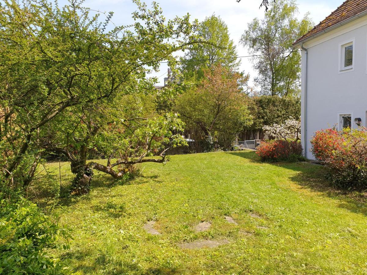 Family Apartment Linz Wohnen Mit Garten Am Fusse Des Poestlingbergs Top Lage Villenviertel Exteriör bild