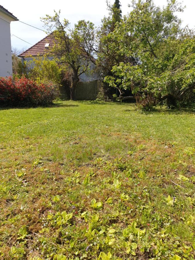 Family Apartment Linz Wohnen Mit Garten Am Fusse Des Poestlingbergs Top Lage Villenviertel Exteriör bild