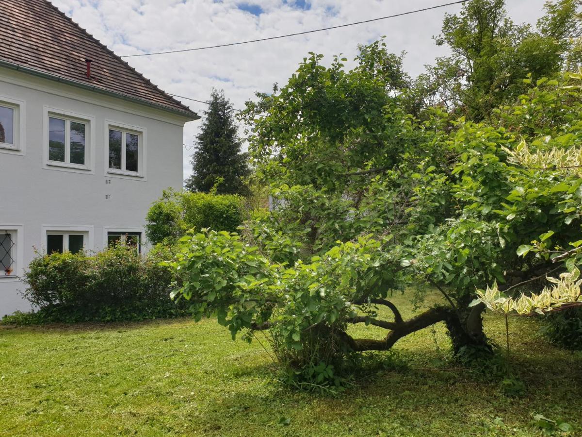 Family Apartment Linz Wohnen Mit Garten Am Fusse Des Poestlingbergs Top Lage Villenviertel Exteriör bild