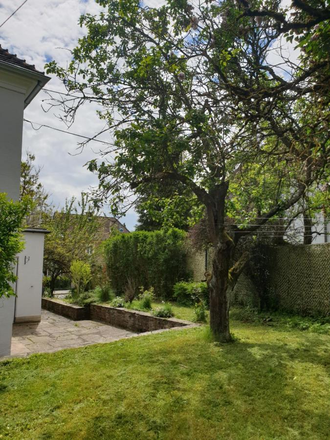 Family Apartment Linz Wohnen Mit Garten Am Fusse Des Poestlingbergs Top Lage Villenviertel Exteriör bild