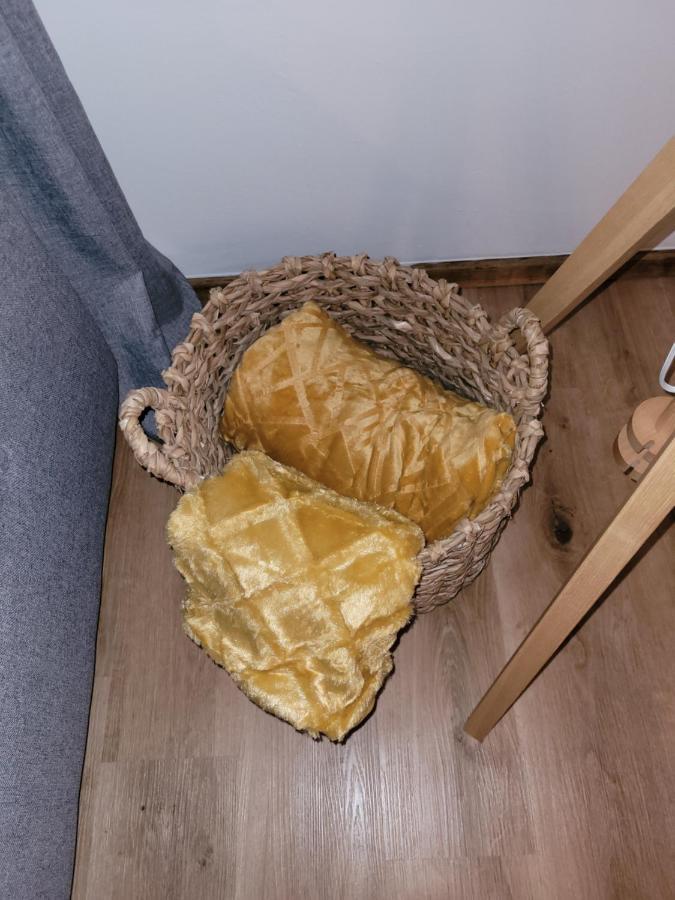 Family Apartment Linz Wohnen Mit Garten Am Fusse Des Poestlingbergs Top Lage Villenviertel Exteriör bild