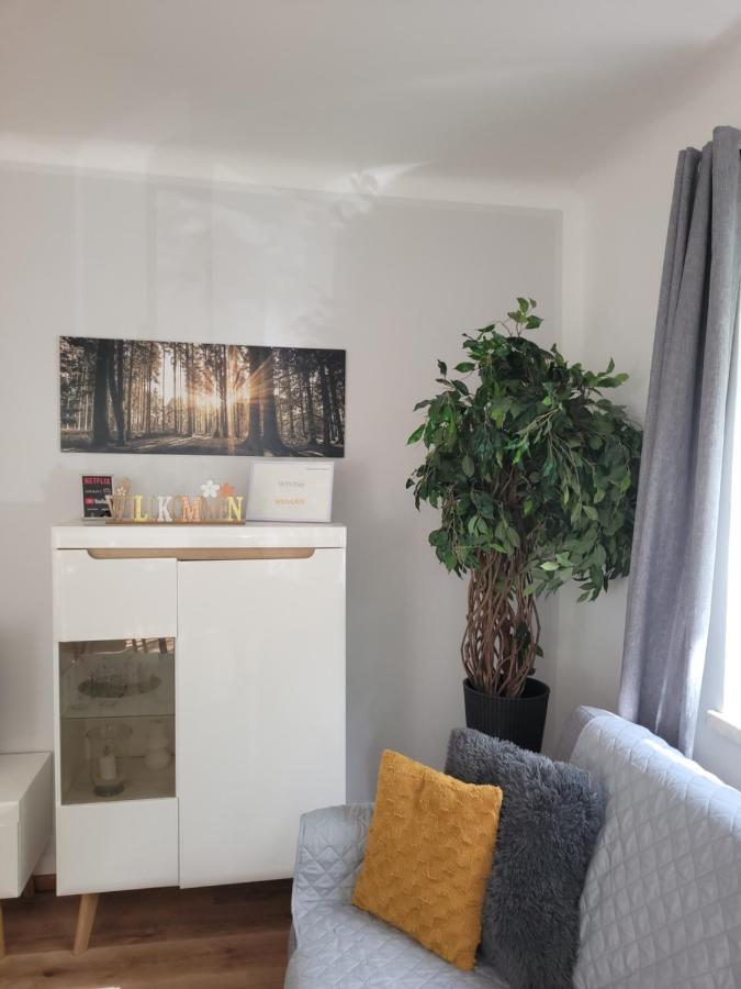 Family Apartment Linz Wohnen Mit Garten Am Fusse Des Poestlingbergs Top Lage Villenviertel Exteriör bild