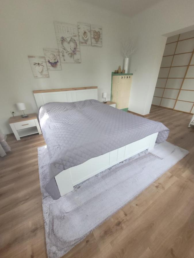 Family Apartment Linz Wohnen Mit Garten Am Fusse Des Poestlingbergs Top Lage Villenviertel Exteriör bild