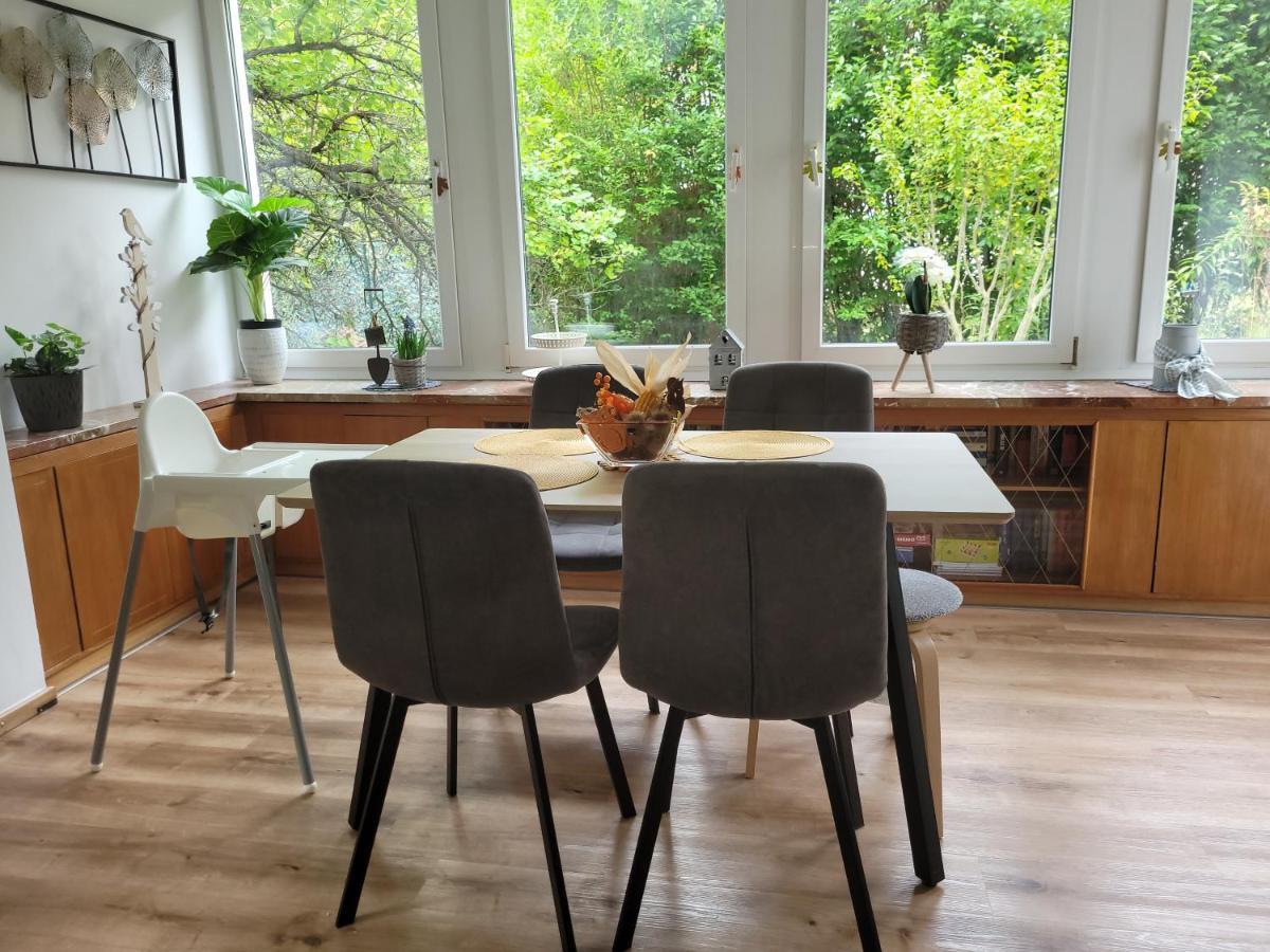 Family Apartment Linz Wohnen Mit Garten Am Fusse Des Poestlingbergs Top Lage Villenviertel Exteriör bild